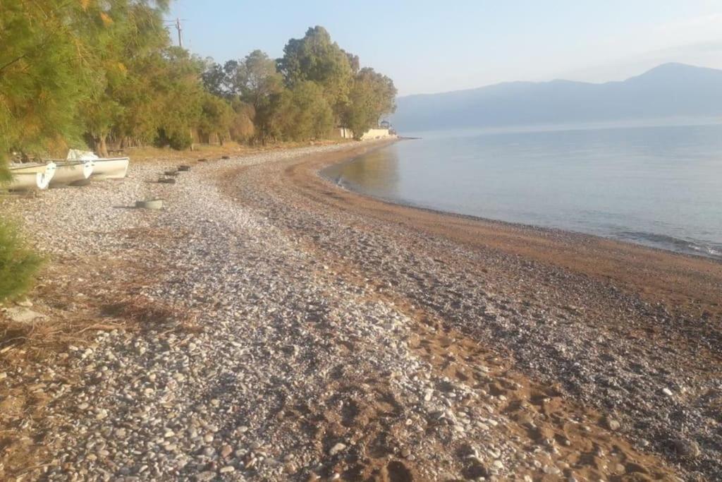 House Nefeli Villa Témeni Dış mekan fotoğraf